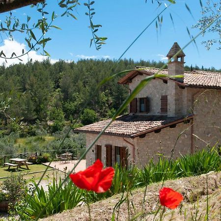 Agriturismo Molino Verde Montecchio  Exteriör bild