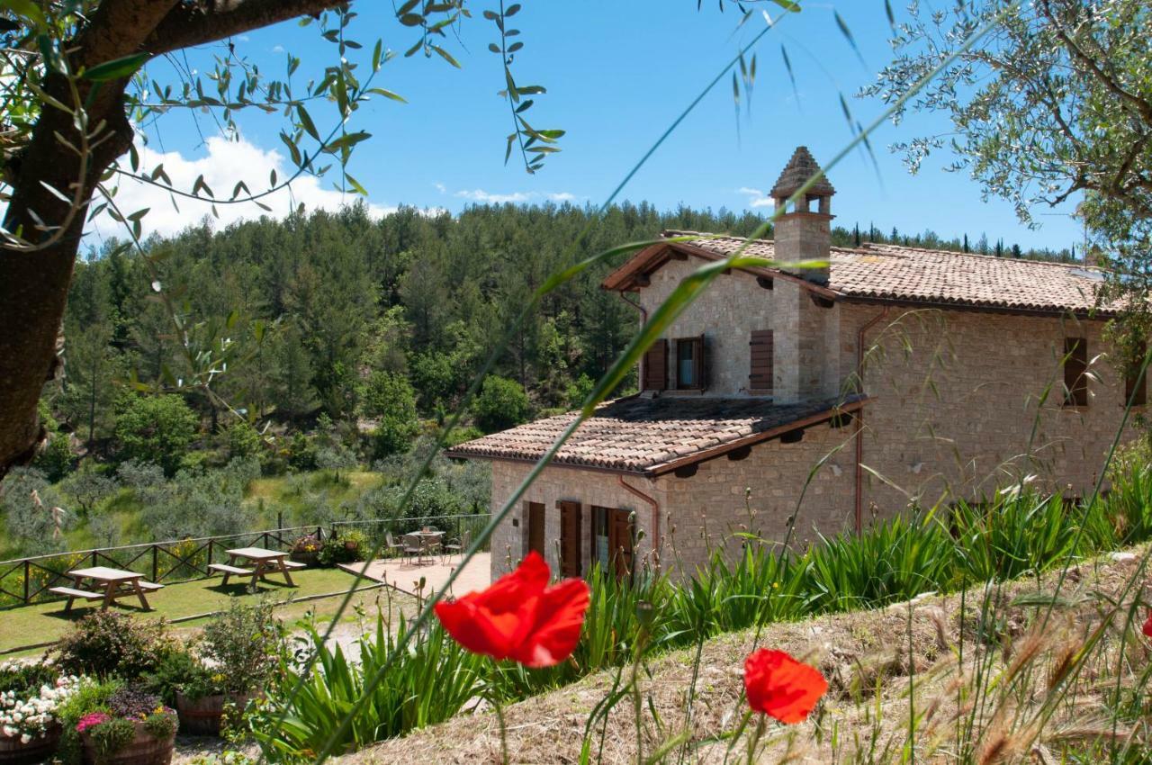 Agriturismo Molino Verde Montecchio  Exteriör bild