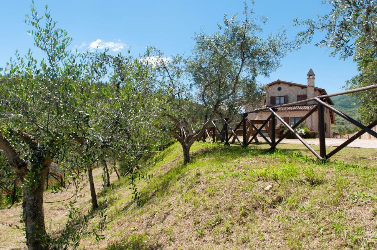 Agriturismo Molino Verde Montecchio  Exteriör bild
