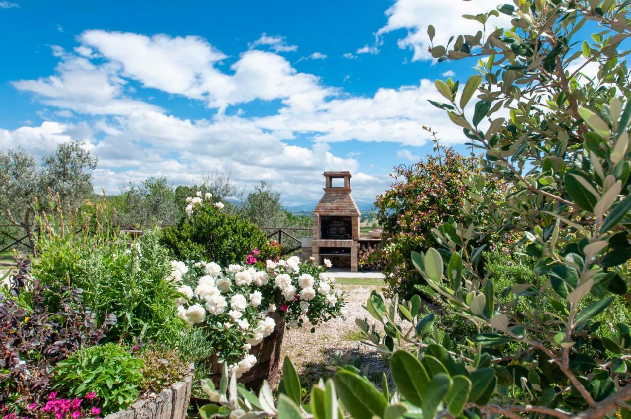 Agriturismo Molino Verde Montecchio  Exteriör bild
