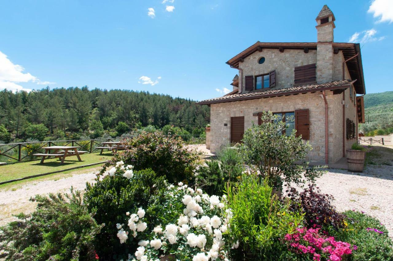 Agriturismo Molino Verde Montecchio  Exteriör bild